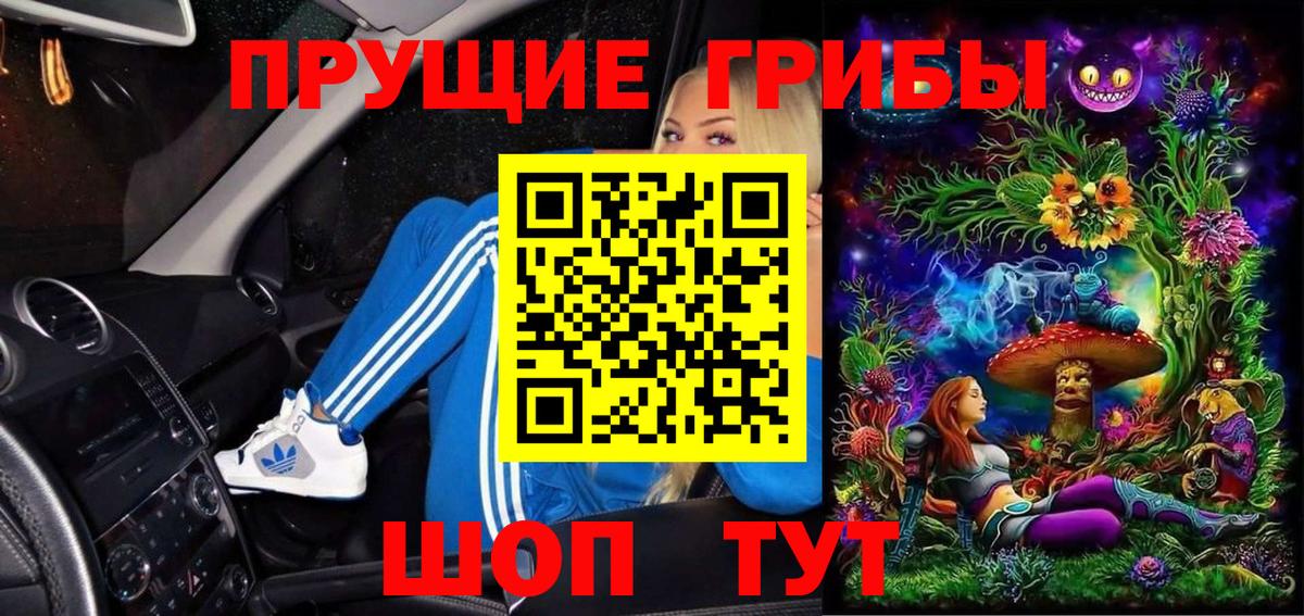 Туапсе  Галлюциногенные грибы Psilocybe  Вход с VPN 